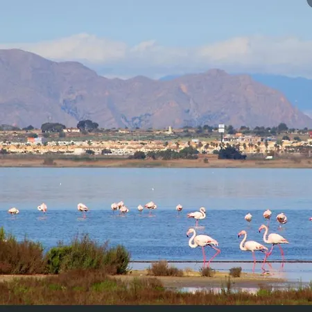 Axioma Studia Lägenhet